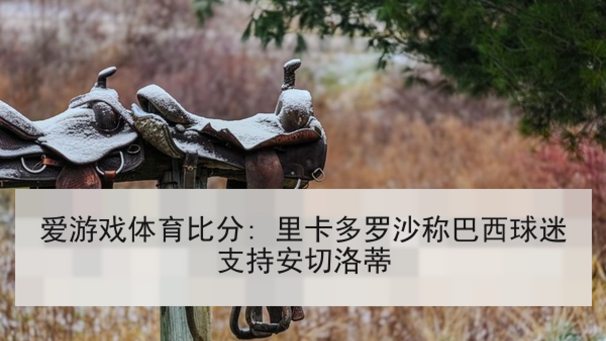 爱游戏体育比分: 里卡多罗沙称巴西球迷支持安切洛蒂