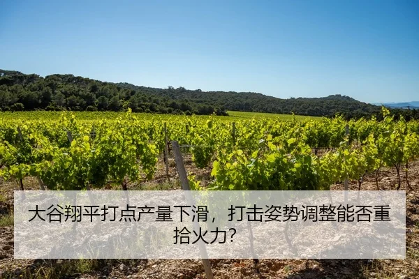 大谷翔平打点产量下滑，打击姿势调整能否重拾火力？